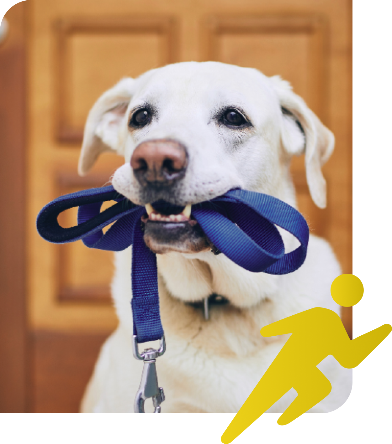 pet concierge services Greenville SC